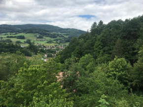 Gîte du ROCHER Lapoutroie